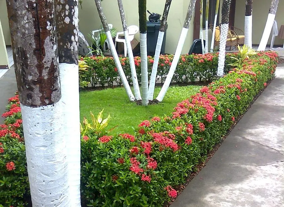 Hotel Mango Mar-1